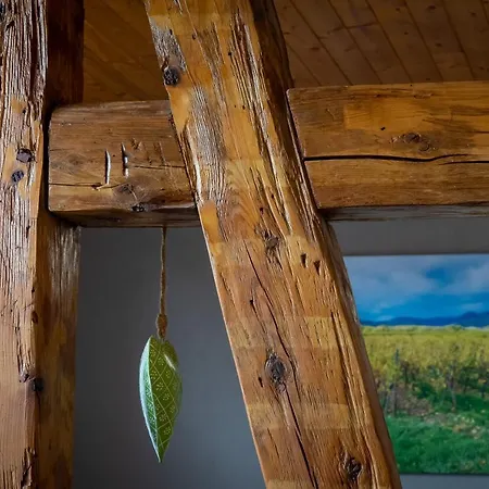 Le Schwendala - Quartier Petite Venise