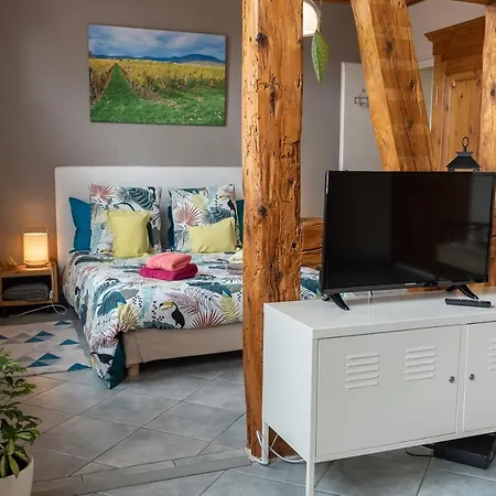 Daire Le Schwendala - Quartier Petite Venise